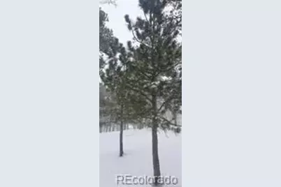 13395 Frank Road, Colorado Springs, CO 80908 - Photo 7