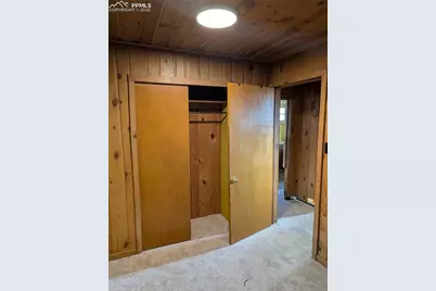 11380 Belvidere Avenue, Green Mountain Falls, CO 80819 - Photo 15