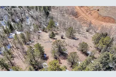 513 Last Dollar Drive, Cripple Creek, CO 80813 - Photo 11