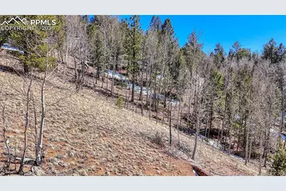 513 Last Dollar Drive, Cripple Creek, CO 80813 - Photo 3