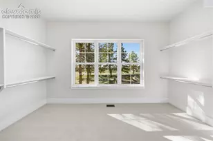 10697 Alamar Wy, Colorado Springs, CO 80908 - Photo 29