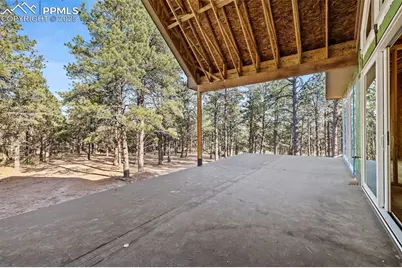 10697 Alamar Way, Colorado Springs, CO 80908 - Photo 11