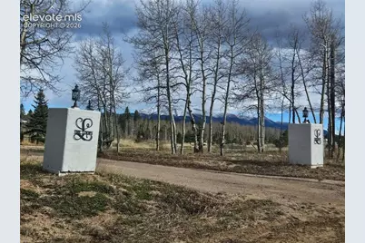 78 Moss Rock Court, Divide, CO 80814 - Photo 5