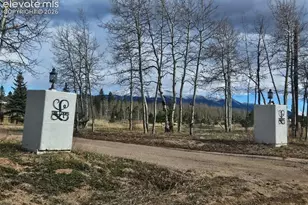 78 Moss Rock Ct, Divide, CO 80814 - Photo 5