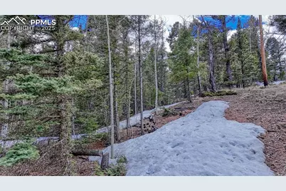 244 Spring Valley Lane, Florissant, CO 80816 - Photo 7