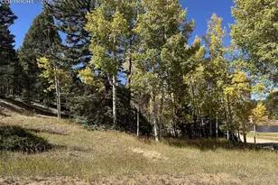 244 Spring Valley Ln, Florissant, CO 80816 - Photo 1