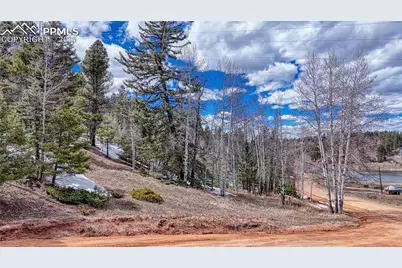 244 Spring Valley Lane, Florissant, CO 80816 - Photo 3