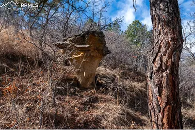 7310 Timbergrove Place, Colorado Springs, CO 80919 - Photo 37