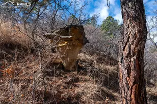 7310 Timber Grove Pl, Colorado Springs, CO 80919 - Photo 37