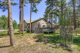 1163 Ptarmigan Dr, Woodland Park, CO 80863 - Photo 27