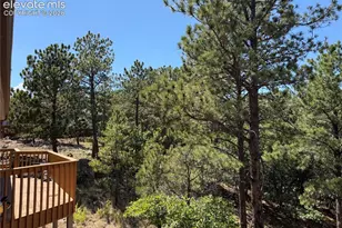 747 Carved Terrace, Colorado Springs, CO 80919 - Photo 7