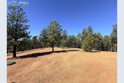 2627 Pikes Peak Drive, Florissant, CO 80816 - Photo 23