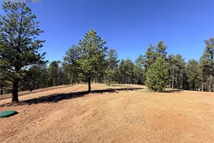 2627 Pikes Peak Dr, Florissant, CO 80816 - Photo 23
