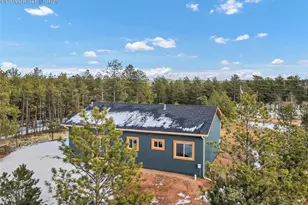2627 Pikes Peak Dr, Florissant, CO 80816 - Photo 39