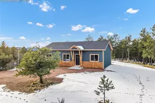 2627 Pikes Peak Dr, Florissant, CO 80816 - Photo 3