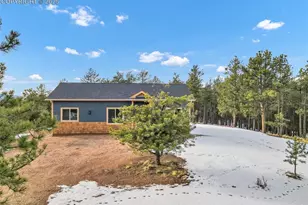 2627 Pikes Peak Dr, Florissant, CO 80816 - Photo 27