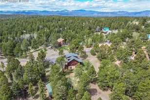 78 Barr Lake Cir, Divide, CO 80814 - Photo 37