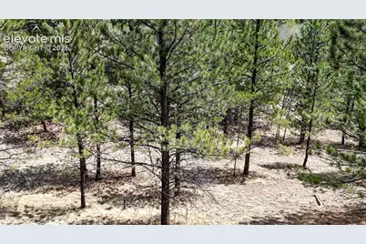 16 View Circle, Florissant, CO 80816 - Photo 17