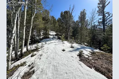 1601 May Queen Drive, Cripple Creek, CO 80813 - Photo 13