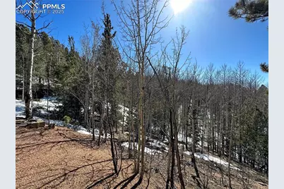 1601 May Queen Drive, Cripple Creek, CO 80813 - Photo 17