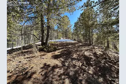 1601 May Queen Drive, Cripple Creek, CO 80813 - Photo 23