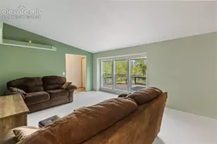 350 Brooks Ln, Woodland Park, CO 80863 - Photo 5