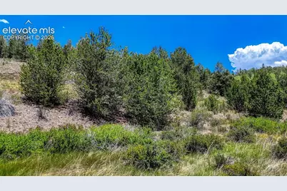 Highway 67, Cripple Creek, CO 80813 - Photo 19
