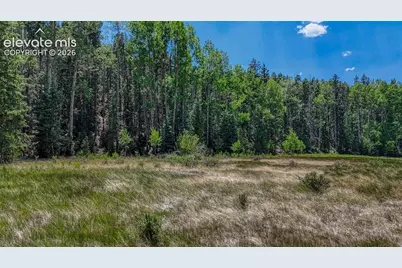 Highway 67, Cripple Creek, CO 80813 - Photo 15