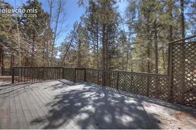 1303 W Midland Avenue, Woodland Park, CO 80863 - Photo 39