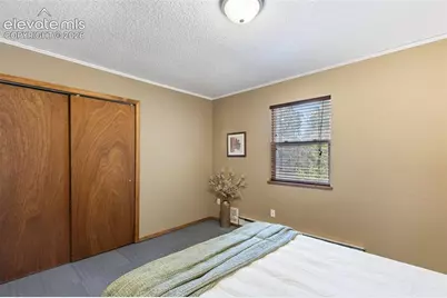 1303 W Midland Avenue, Woodland Park, CO 80863 - Photo 15