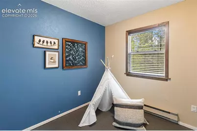 1303 W Midland Avenue, Woodland Park, CO 80863 - Photo 17