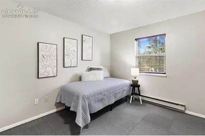 1303 W Midland Avenue, Woodland Park, CO 80863 - Photo 19