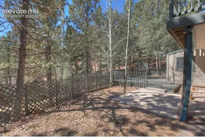 1303 W Midland Avenue, Woodland Park, CO 80863 - Photo 41