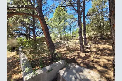 5550 Wilkerson Pass Drive, Colorado Springs, CO 80917 - Photo 15