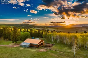 23311 S Hwy 67, Divide, CO 80814 - Photo 5