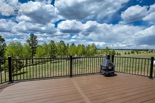 23311 S Hwy 67, Divide, CO 80814 - Photo 49
