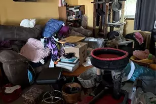 3487 Springnite Dr, Colorado Springs, CO 80916 - Photo 5