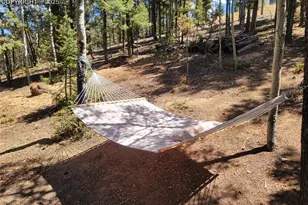 40 Flathead Ln, Woodland Park, CO 80863 - Photo 5