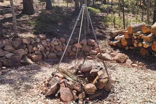 40 Flathead Ln, Woodland Park, CO 80863 - Photo 7