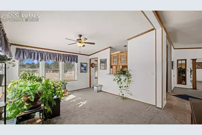 17660 Cleese Court, Peyton, CO 80831 - Photo 19