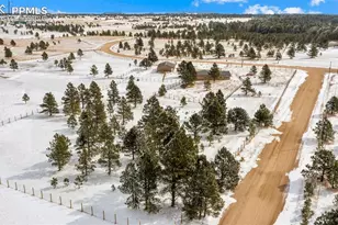 17660 Cleese Ct, Peyton, CO 80831 - Photo 35