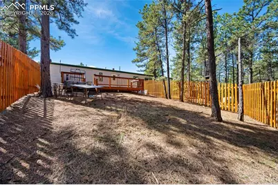 1299 Pikes Peak Drive, Florissant, CO 80816 - Photo 23