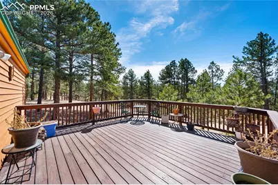 1299 Pikes Peak Drive, Florissant, CO 80816 - Photo 3