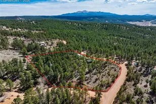 1299 Pikes Peak Dr, Florissant, CO 80816 - Photo 31