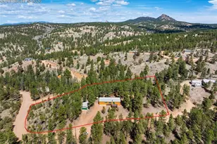 1299 Pikes Peak Dr, Florissant, CO 80816 - Photo 29