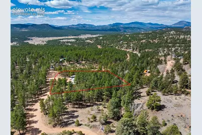 1299 Pikes Peak Drive, Florissant, CO 80816 - Photo 33