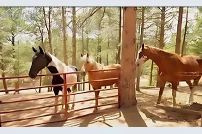 117 Rabbil Creek Trail, Florissant, CO 80816 - Photo 31