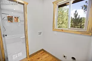 117 Rabbil Crk Trl, Florissant, CO 80816 - Photo 37