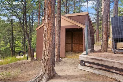 117 Rabbil Creek Trail, Florissant, CO 80816 - Photo 27