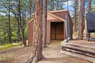 117 Rabbil Crk Trl, Florissant, CO 80816 - Photo 27